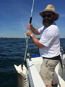 Nice Shark